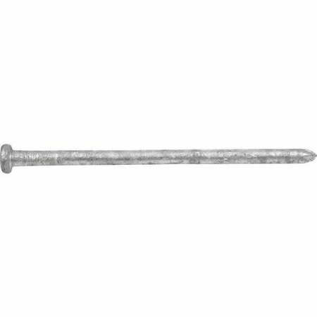 Hillman Common Nail, 3/8 in L, 10D, Steel, Galvanized Finish 461475